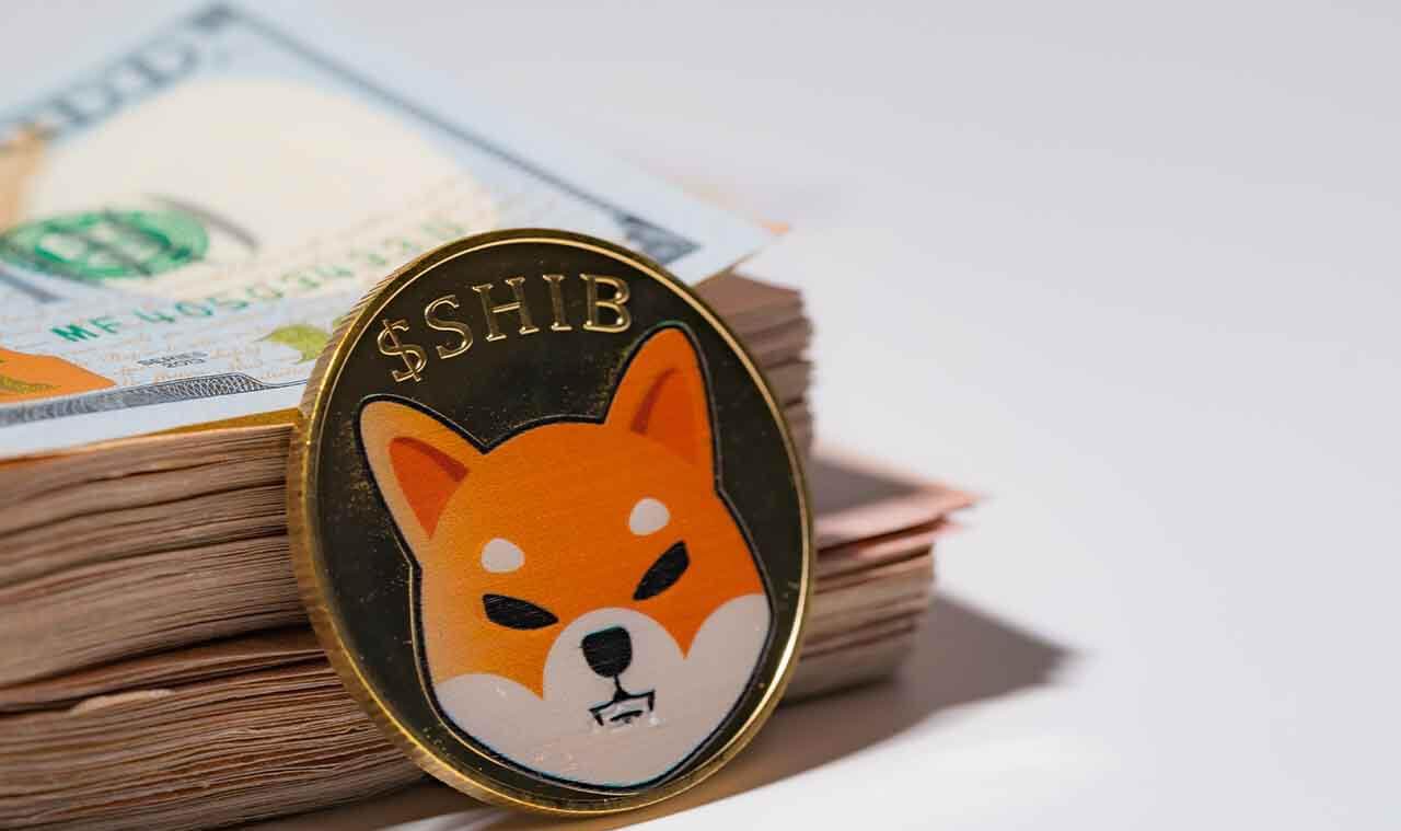 shiba inu meme coin