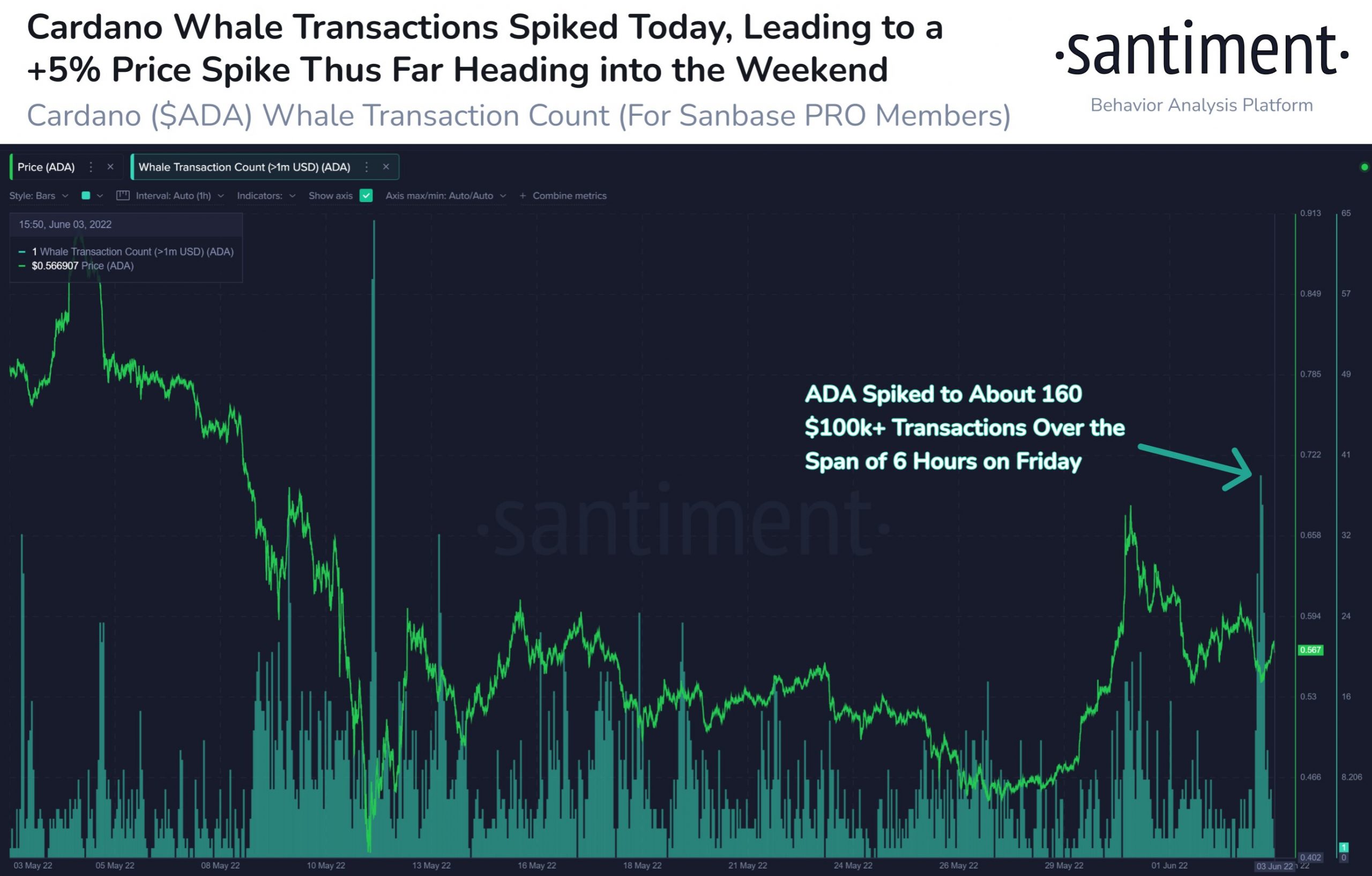 Cardano