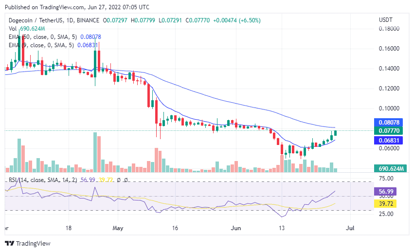 Dogecoin USDT kripto para