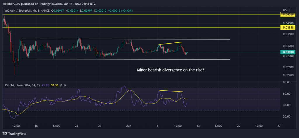 VeChain