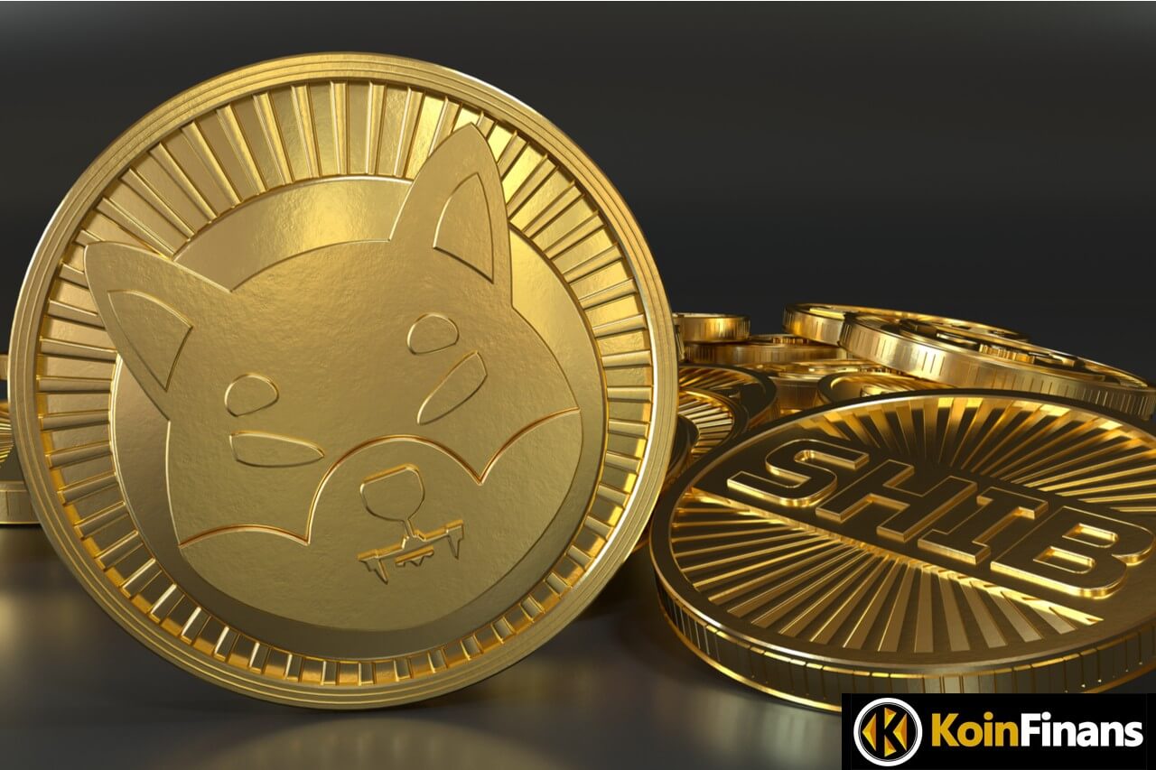 shib coin