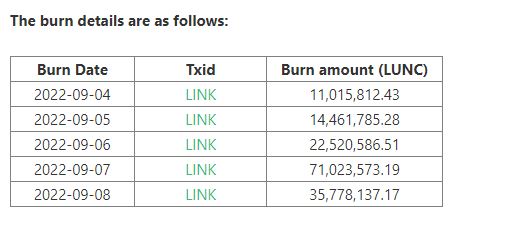 LUNC token yakımı