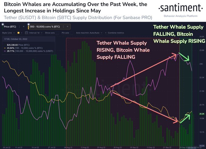Bitcoin balina hareketleri