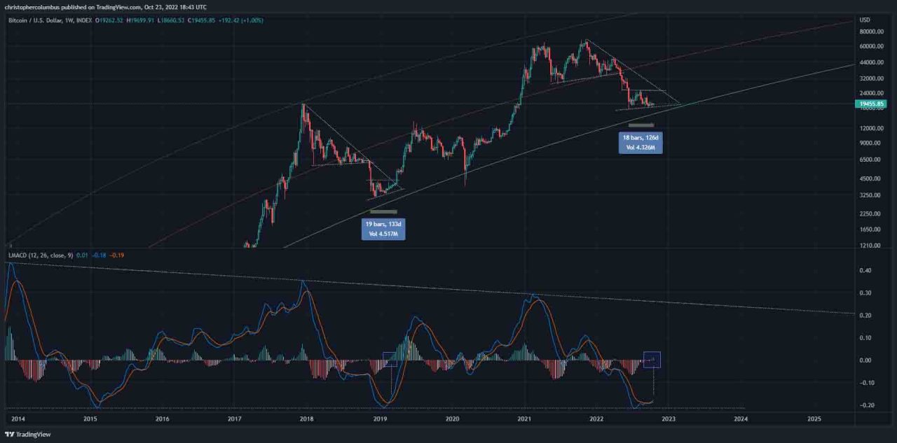 BTC rallisi