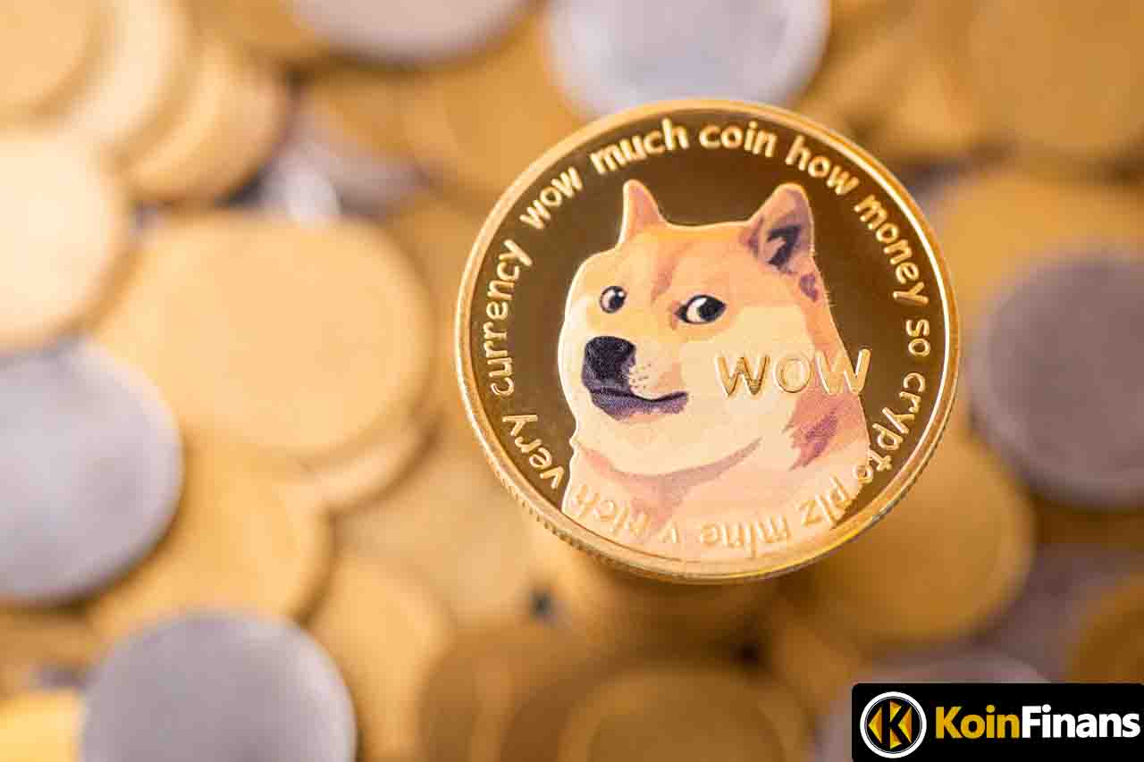 Elon Musk Dogecoin