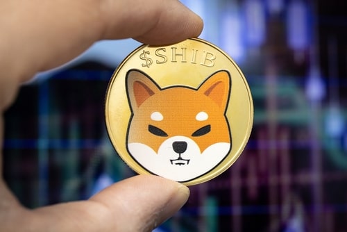 Meme coin Shiba Inu