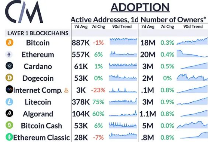 Algorand on-chain veri