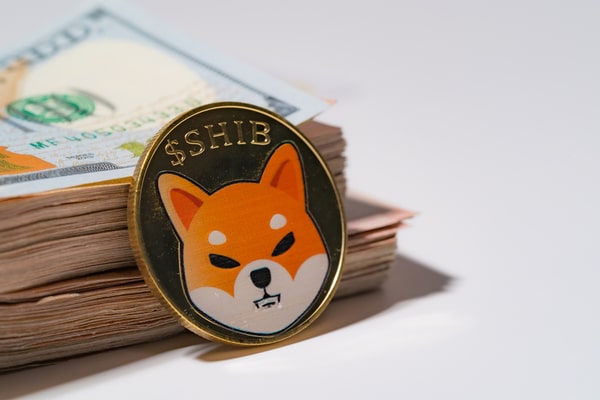 Shiba Inu meme coin aldım