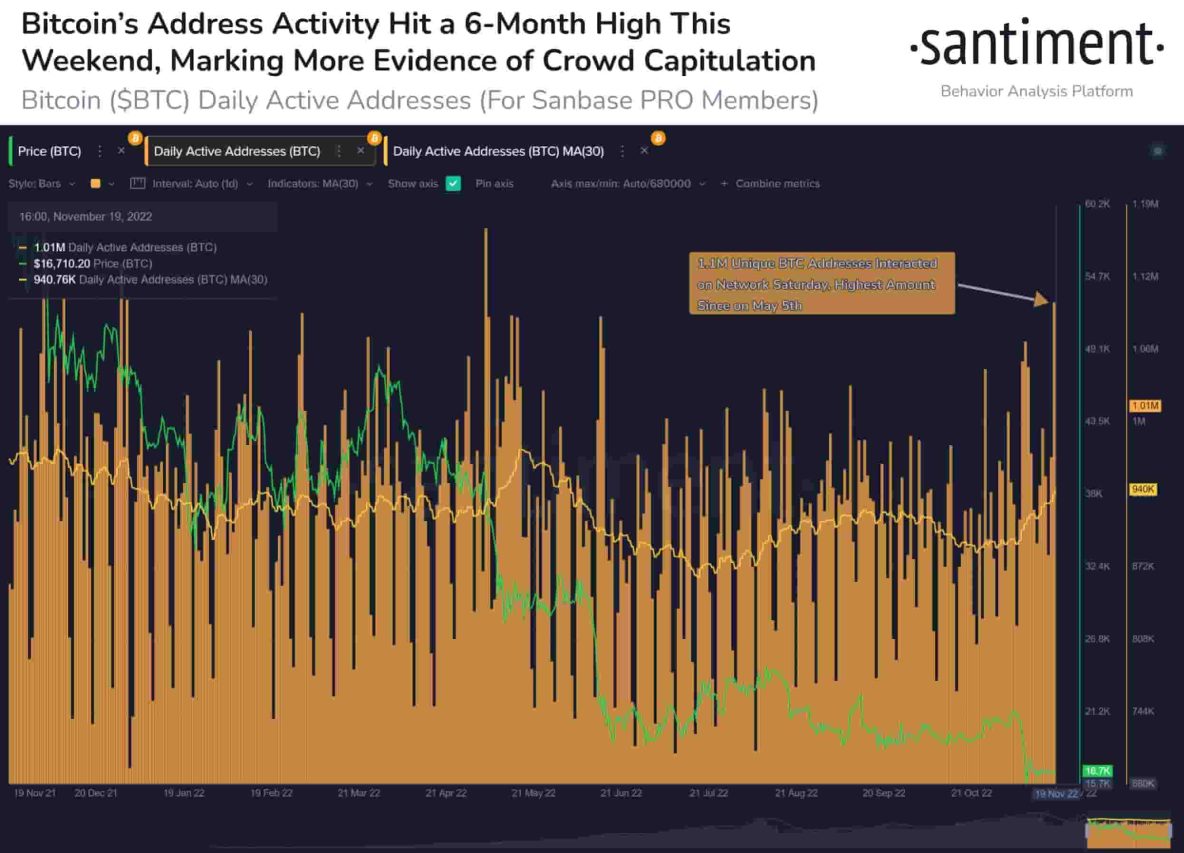 Bitcoin adres aktivitesi