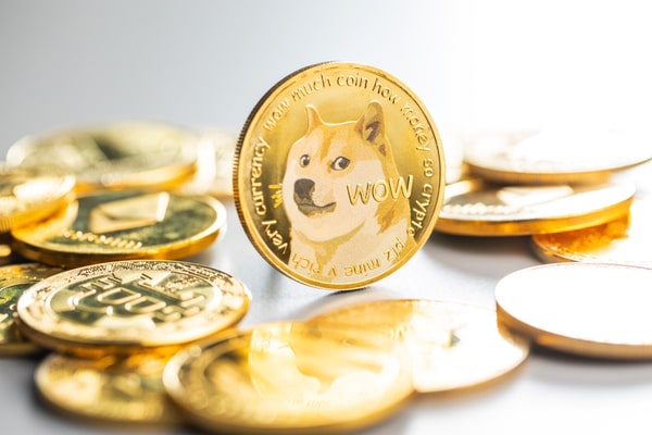 Dogecoin vakfına destek