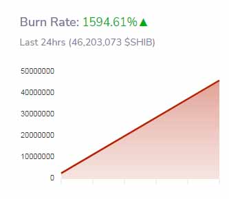 Shiba Inu coin yakım