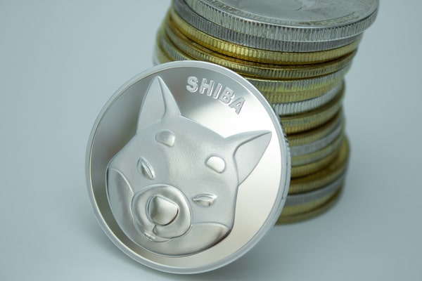Shiba Inu BONE token