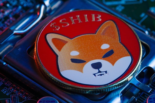 Shiba inu meme coin 2 borsaya taşındı!