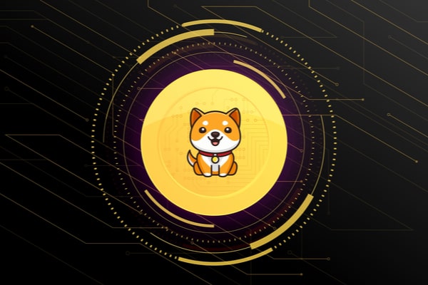 Baby Doge meme coin yakımı.