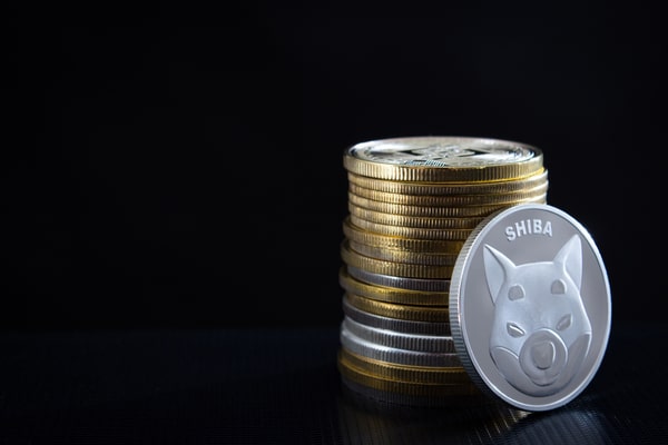 Balina milyonlarca adet Shiba Inu meme coin satın aldı.