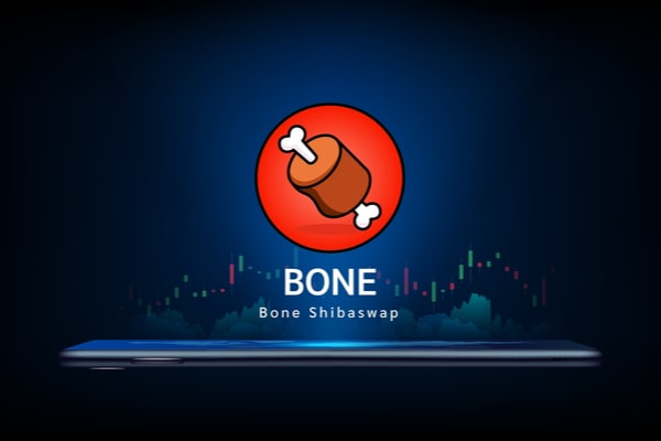 Meme coin BONE yakım oranında artış.