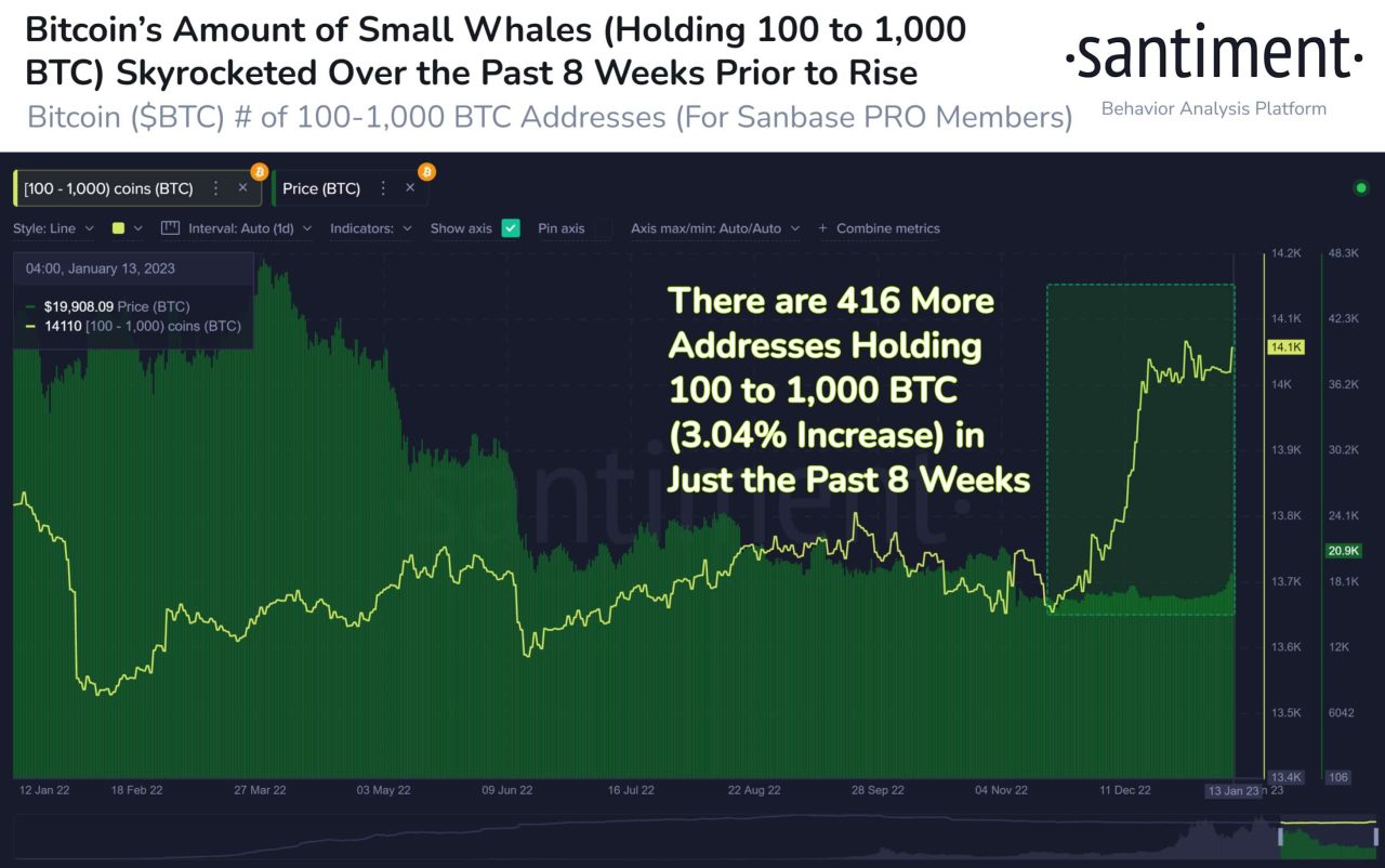 Bitcoin küçük balinalar