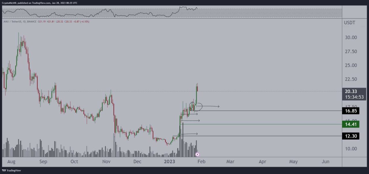 AVAX altcoin fiyat analizi