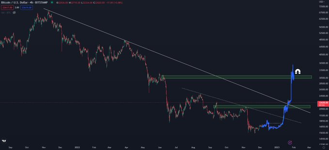 Kaleo analyst