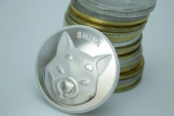 Meme coin, Shiba Inu analyst forecast.
