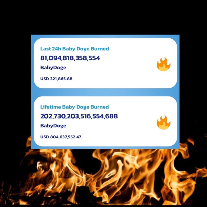 Meme coin BabyDoge'de kazanç oranı arttı