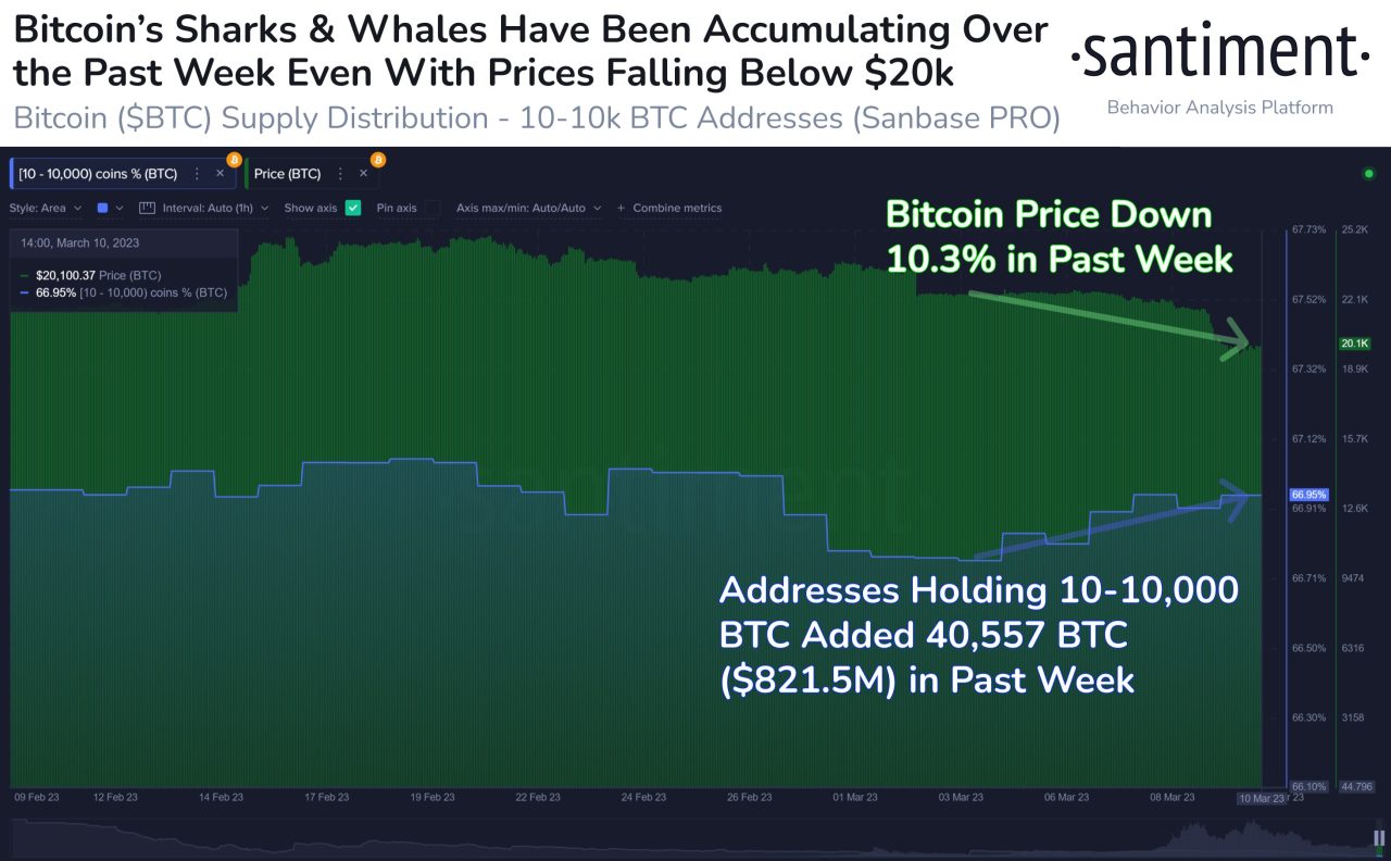 bitcoin on-chain data