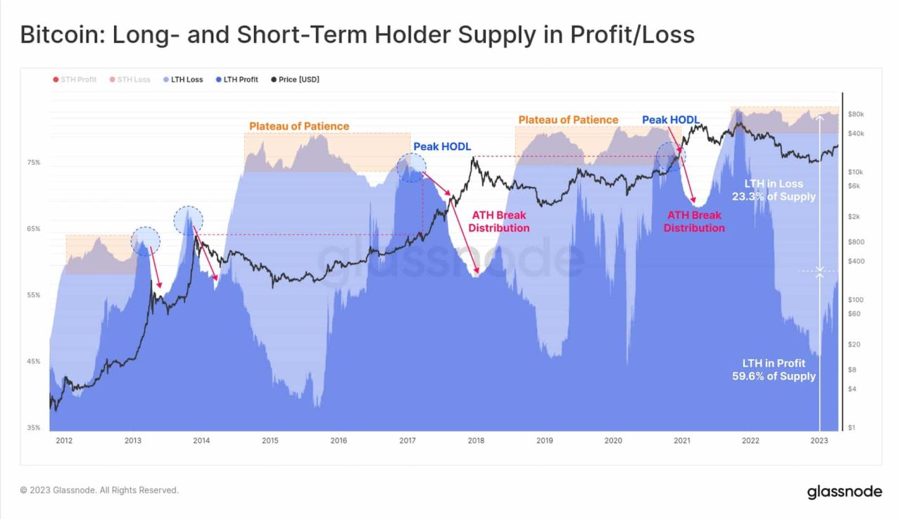 Bitcoin long short chart