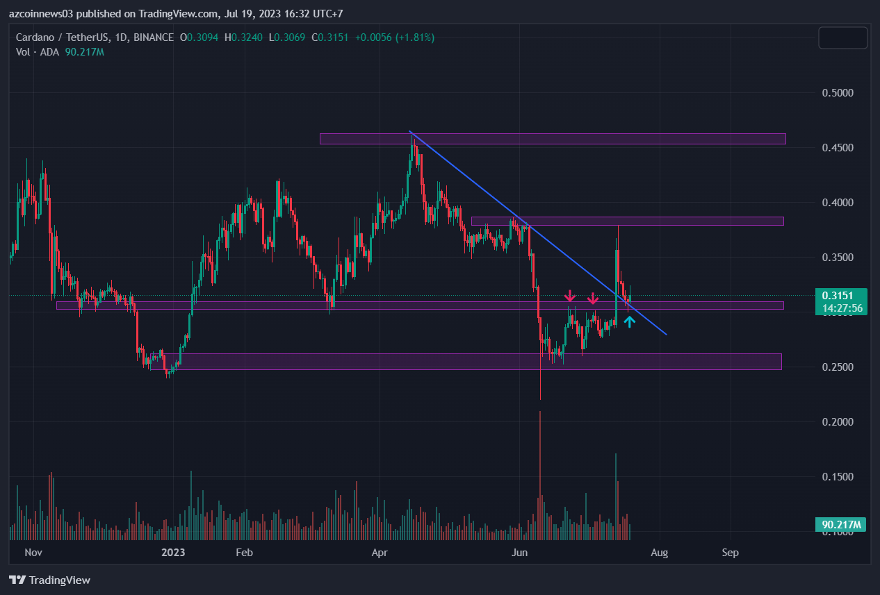 cardano analizi