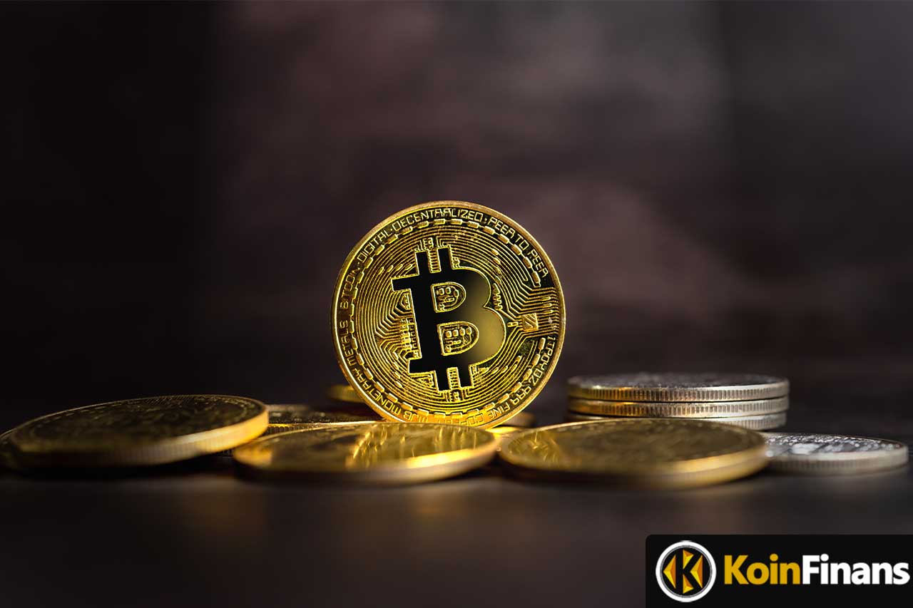 En Az 100 Bitcoin Tutan Cüzdan Sayısı Rekorlara Devam Ediyor: Bu Ne