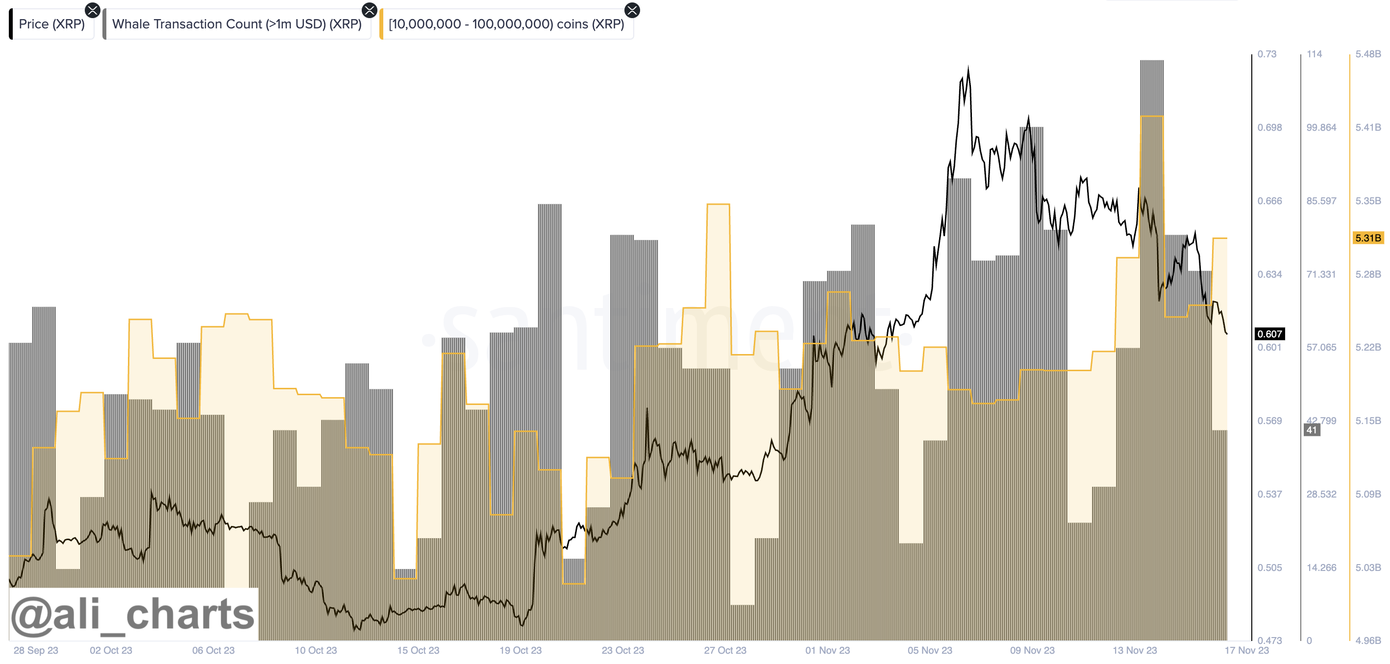 XRP whale movements