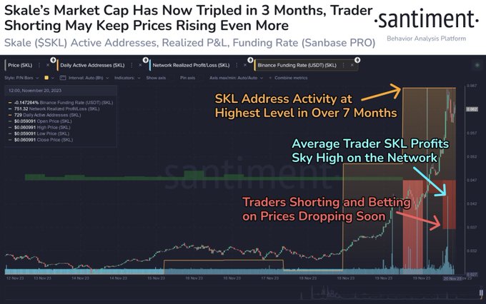 scale network