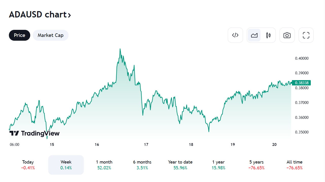 Cardano market dynamics