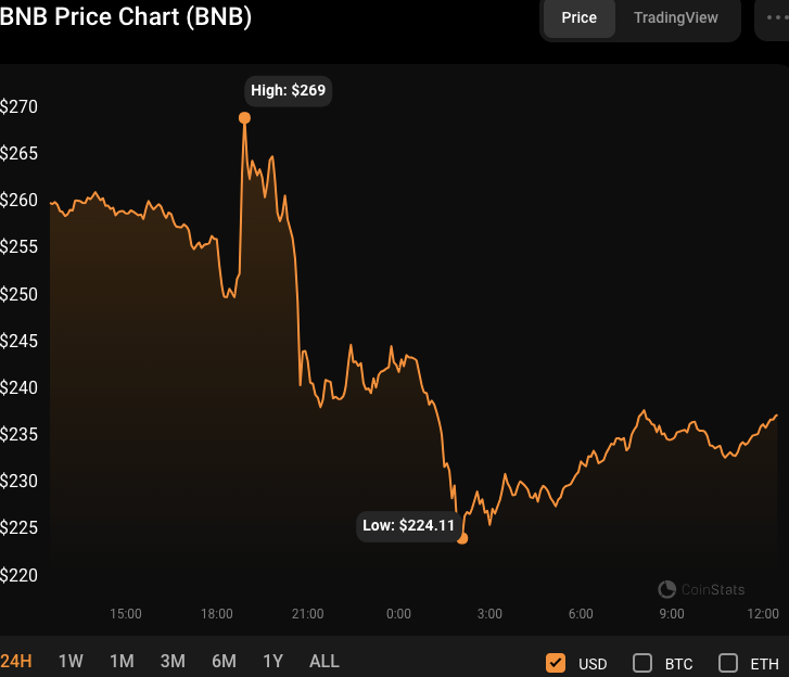 BNB fiyat ekranı