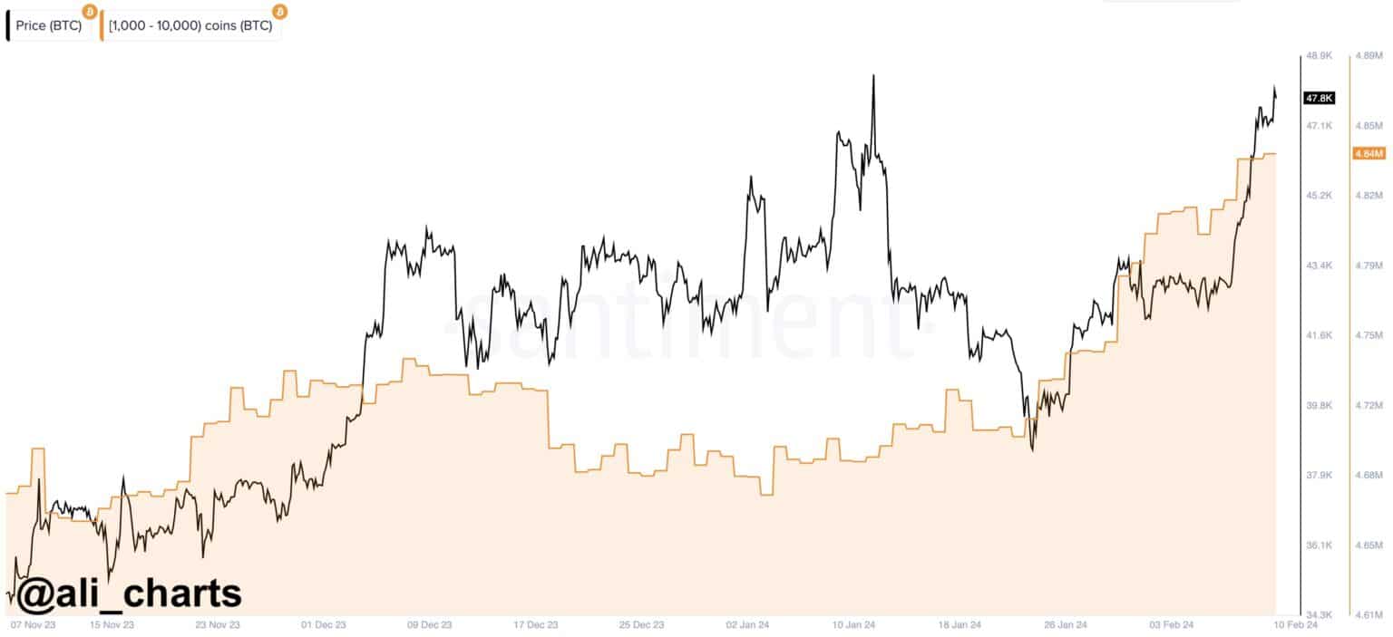 bitcoin fiyat grafiği 