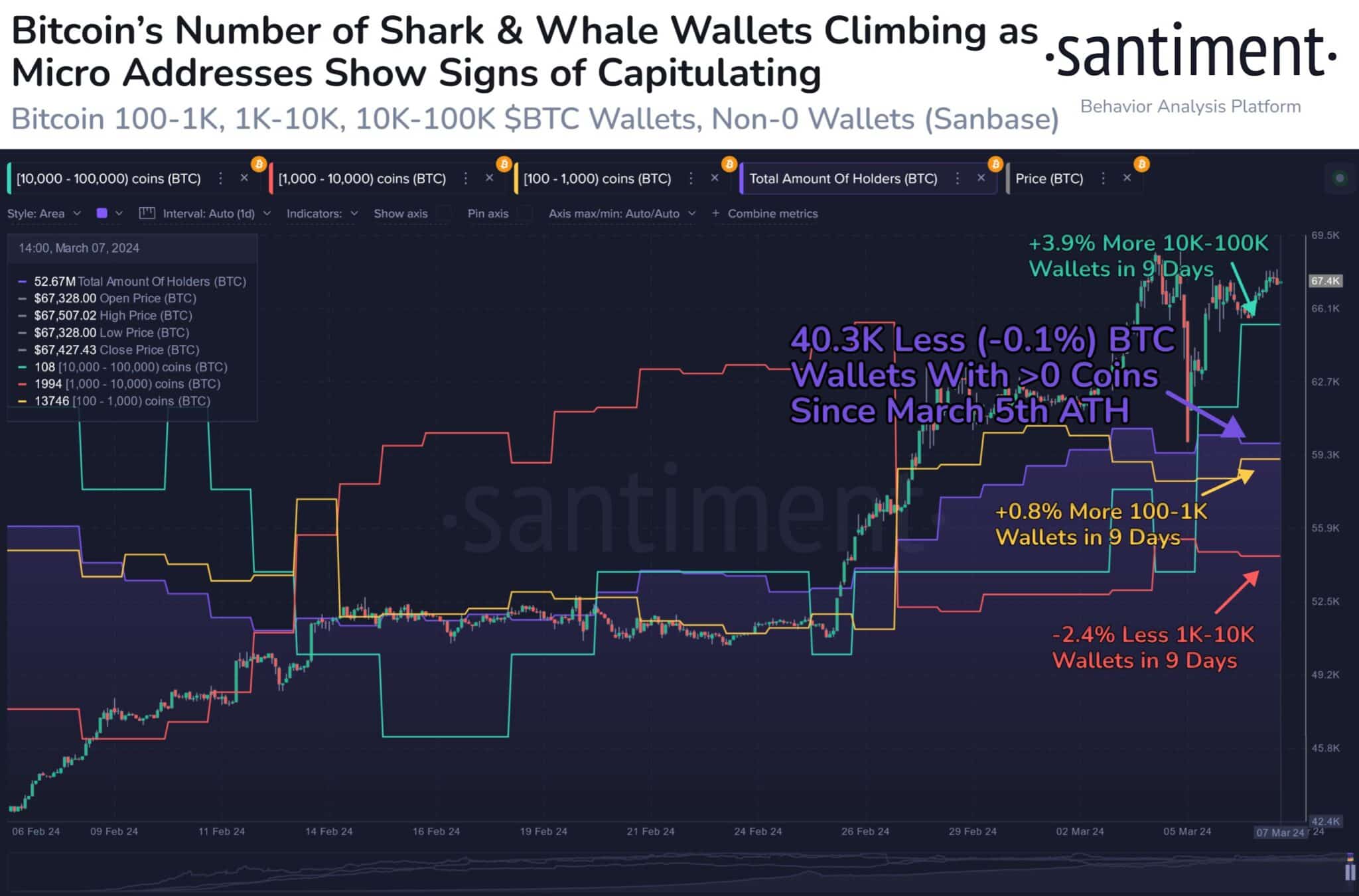 Bitcoin balina oranı