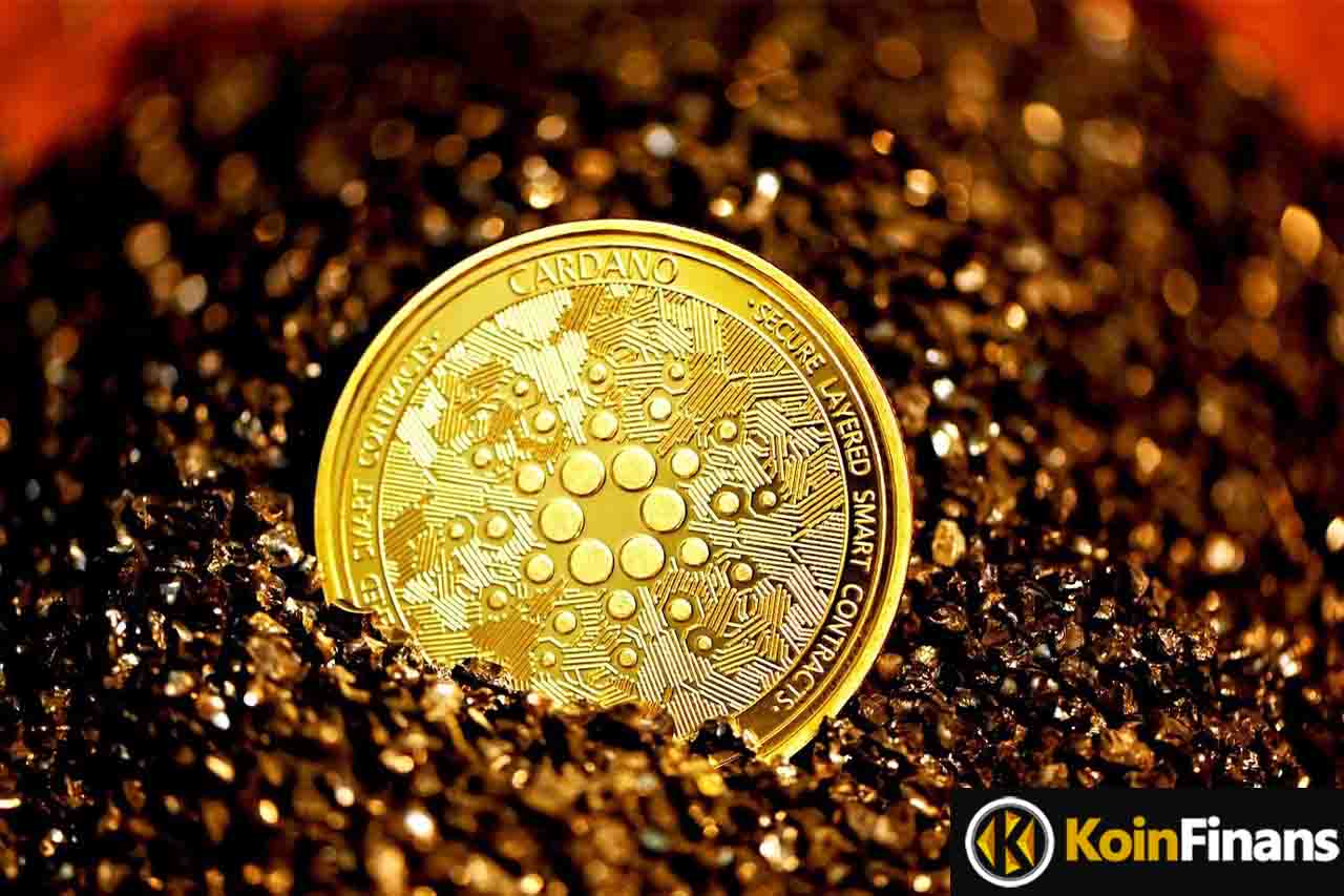 cardano1
