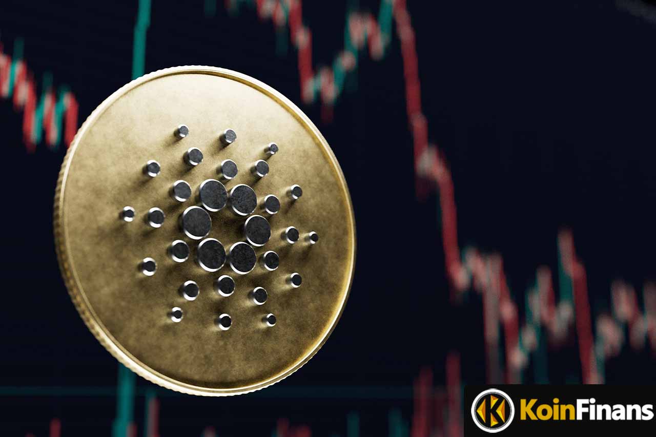 cardano2