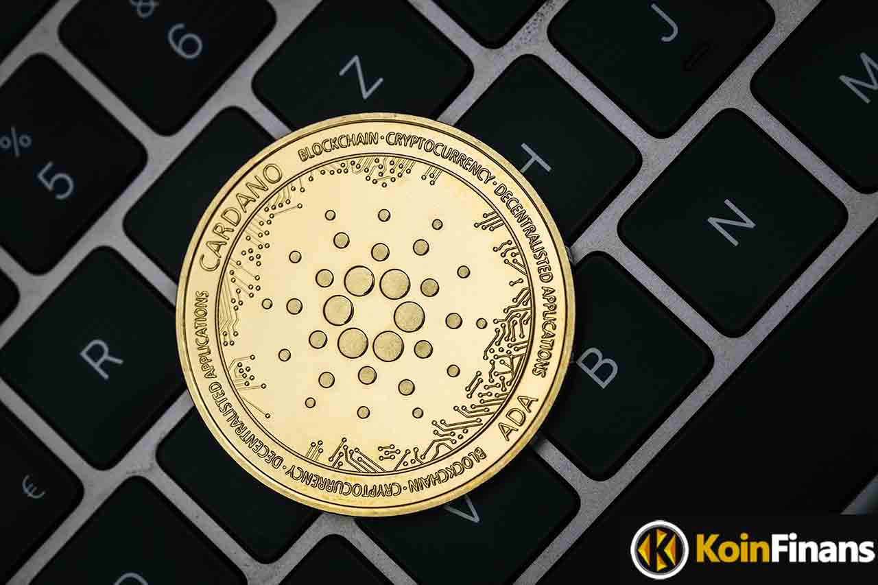 cardano4