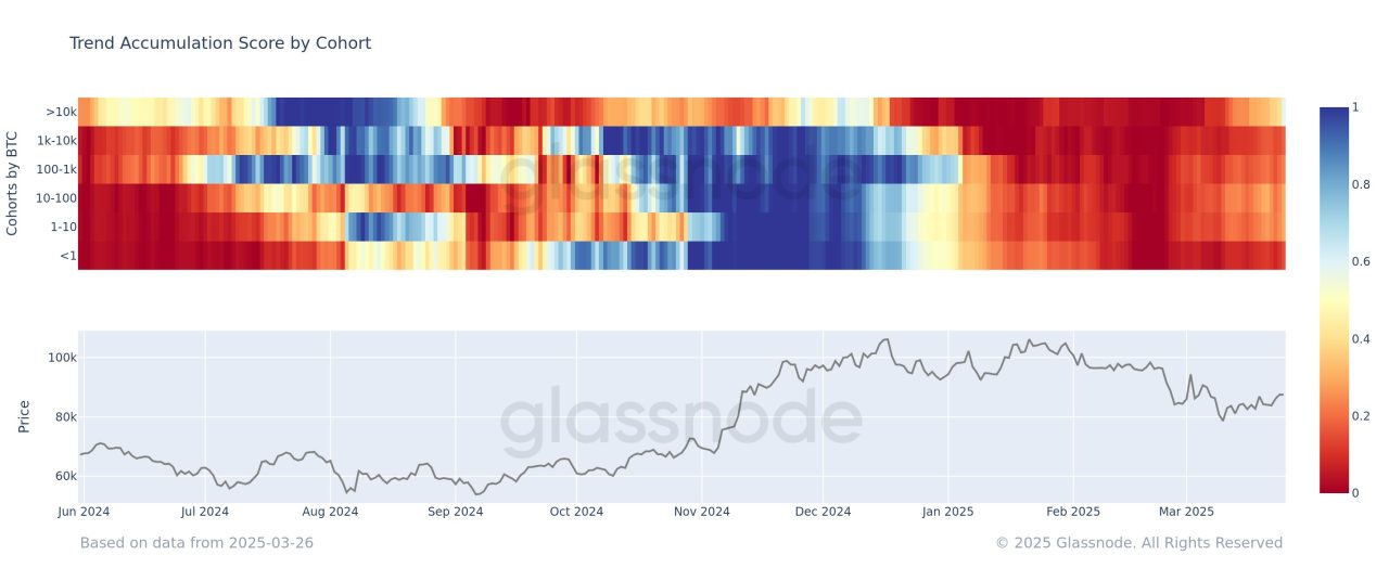 Bitcoin'de balinalar yeniden oyunda: Yeni bir ralli mi geliyor? 1 Bitcoin Trend Accumulation Score