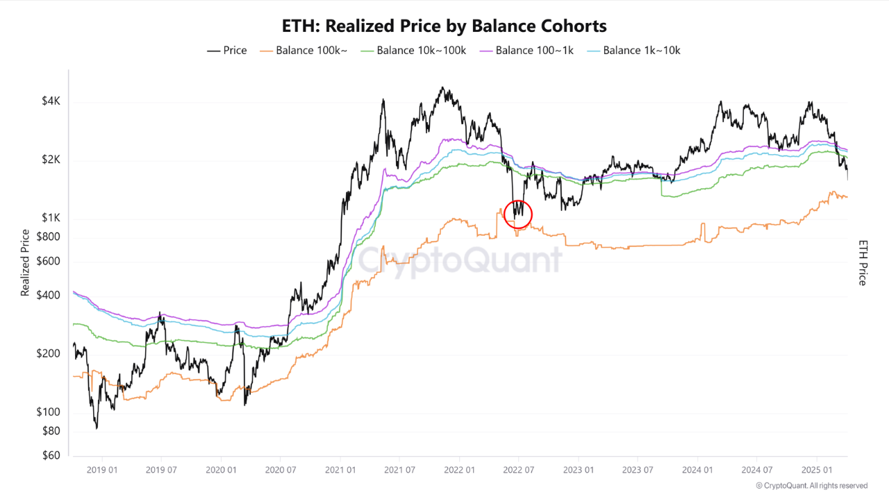 Ethereum balinalarının ortalama alım fiyatı.