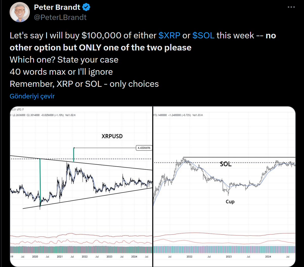 Peter Brandt'tan 100.000 dolarlık yatırım anketi: XRP mi Solana mı? 1 Peter Brandt'ın XRP ve Solana paylaşımı