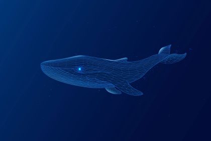 Bitcoin balinaları düşen fiyattan yararlanarak alım yaptı: 48 saatte 20.000 BTC topladılar