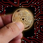 cardano fiyati gerilerken charles hoskinsondan sabirli olun cagrisi