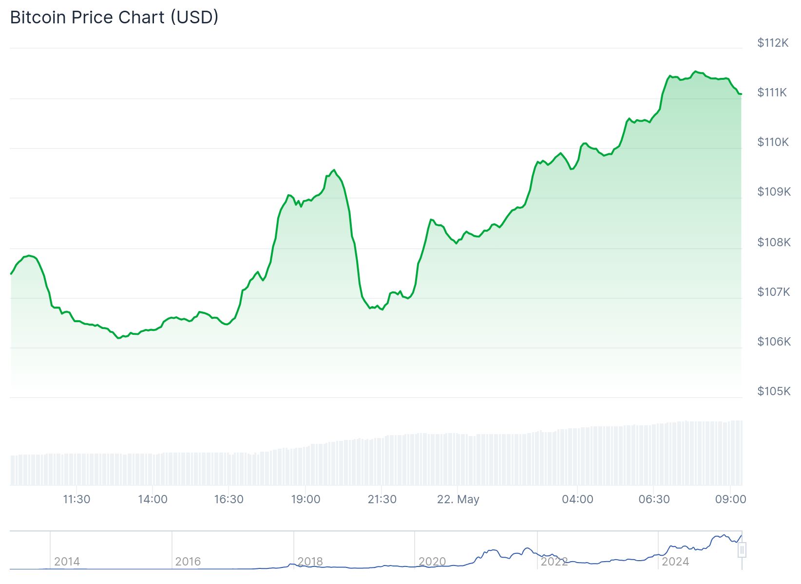 Bitcoin, "Pizza Gününde" 111.544 dolar ile rekor kırdı 1 Bitcoin 111.034 dolardan işlem görüyor. Kaynak: Coingecko