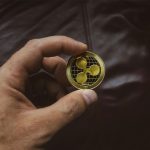 Küresel seyahat şirketi Webus'tan XRP rezervi hamlesi: 300 milyon dolarlık bütçe