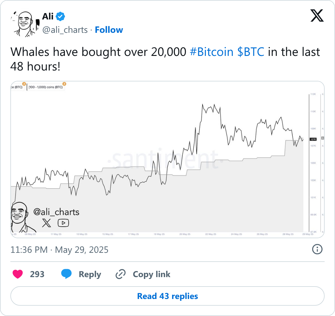 Bitcoin balinaları düşen fiyattan yararlanarak alım yaptı: 48 saatte 20.000 BTC topladılar 2 Ali Martinez'in tweeti.