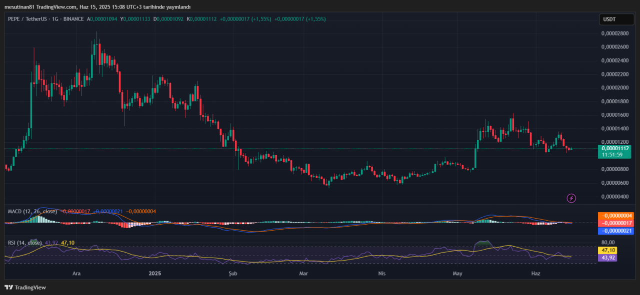 Pepe coin fiyat grafiği