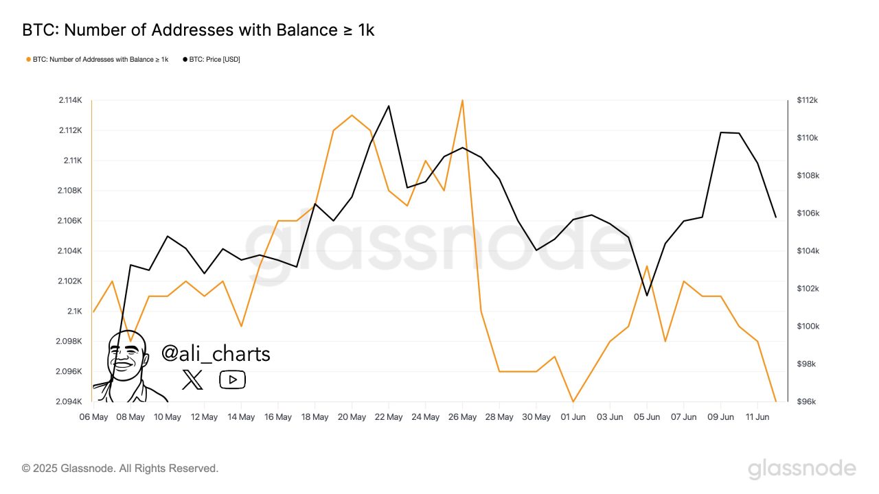 1.000 BTC ve üzeri coin tutan Bitcoin adreslerinin sayısı