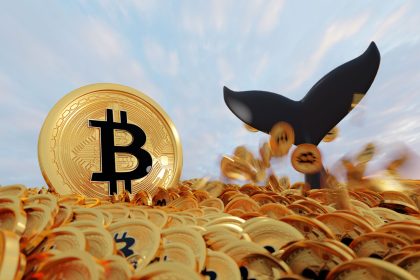 Binance verisi geldi! Bitcoin balinaları şaşırttı