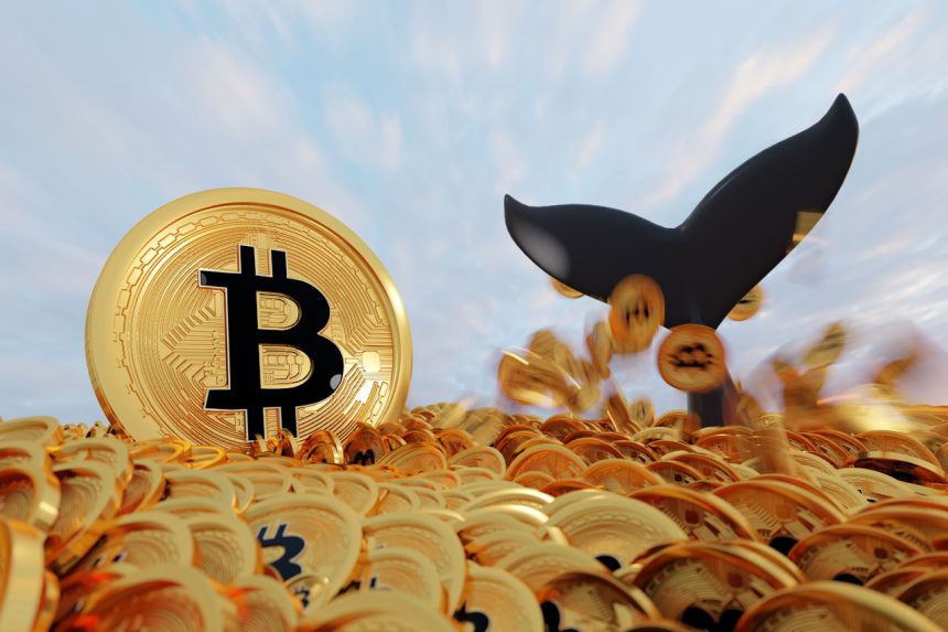 Binance verisi geldi! Bitcoin balinaları şaşırttı